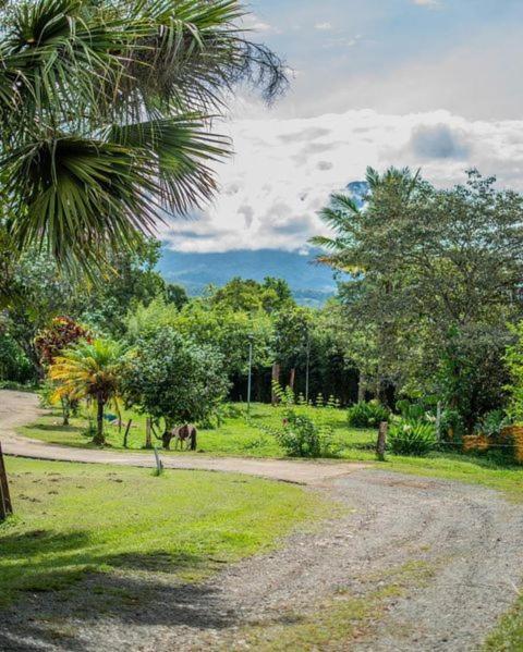 Linda Casa De Verano Con Amplias Zonas Verdes San Isidro De El General Zewnętrze zdjęcie