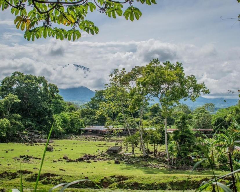 Linda Casa De Verano Con Amplias Zonas Verdes San Isidro De El General Zewnętrze zdjęcie